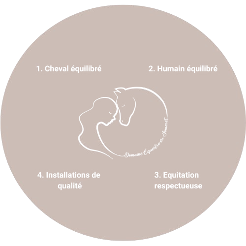 Concept du domaine équestre Somaret Marjorie en Ardèche pour les propriétaires de chevaux