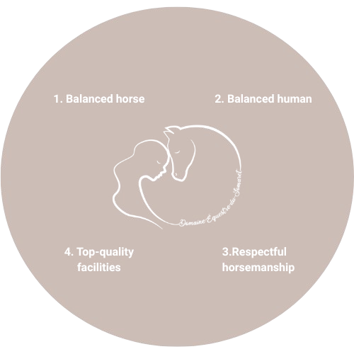 Concept du domaine équestre Somaret Marjorie en Ardèche pour les propriétaires de chevaux